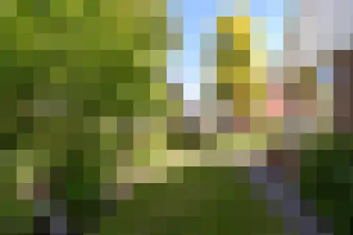 Herenweg 223 Wilnis thumbnail 15