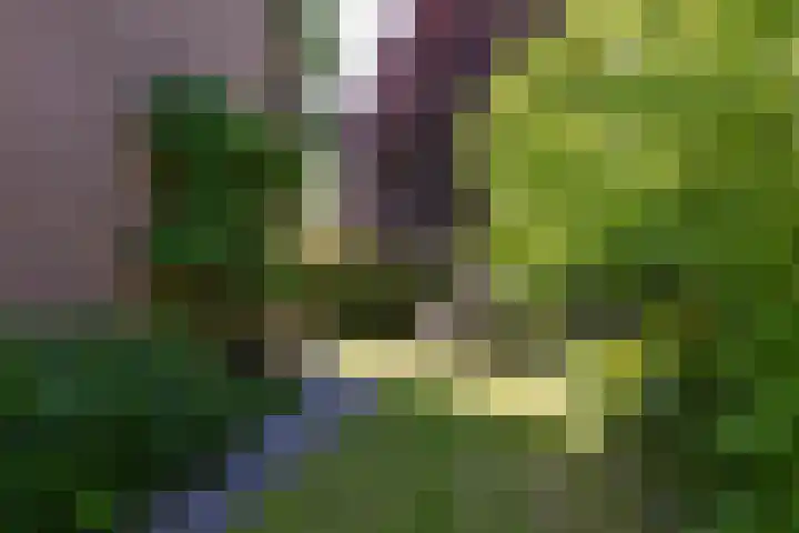 Herenweg 223 Wilnis thumbnail 16