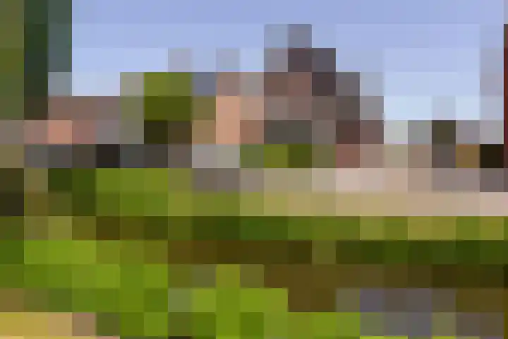 Herenweg 223 Wilnis thumbnail 17