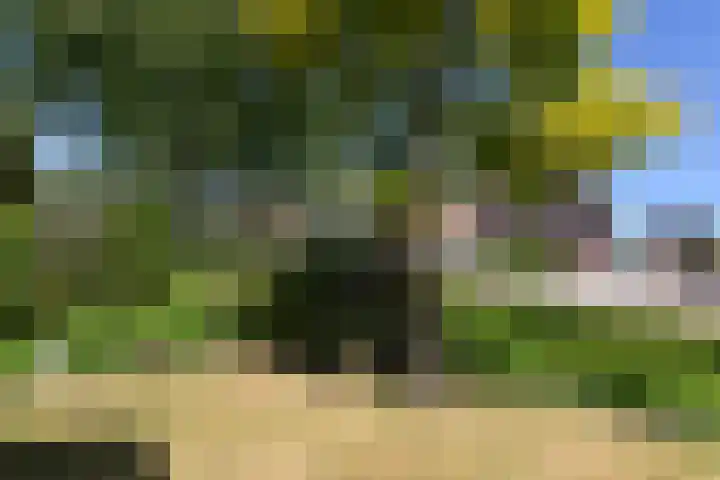 Herenweg 223 Wilnis thumbnail 18