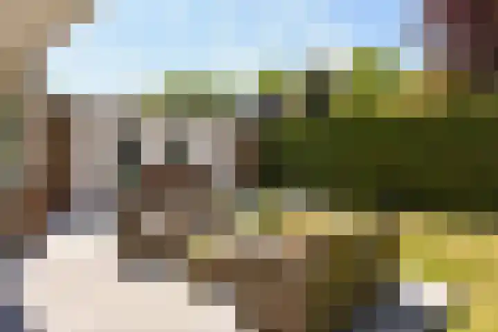 Herenweg 223 Wilnis thumbnail 19