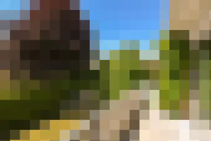 Herenweg 223 Wilnis thumbnail 31