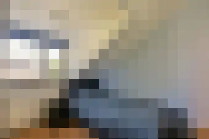 Herenweg 223 Wilnis thumbnail 32
