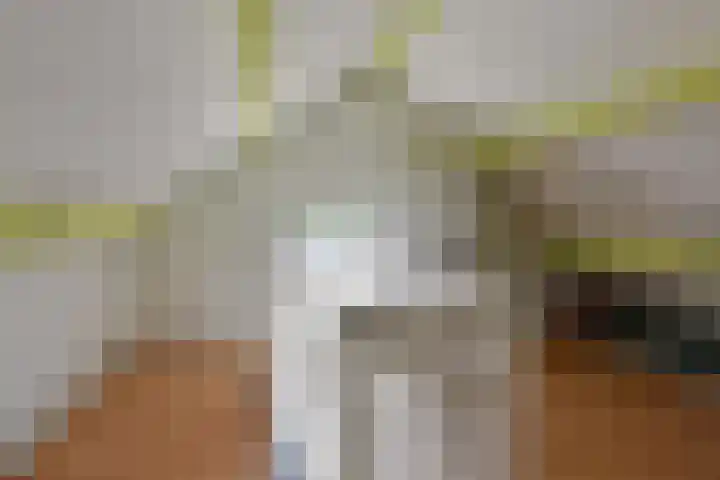 Herenweg 223 Wilnis thumbnail 36