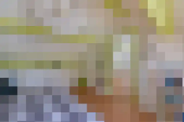 Herenweg 223 Wilnis thumbnail 38