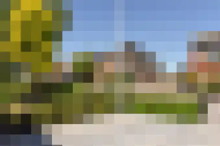 Herenweg 223 Wilnis thumbnail 39
