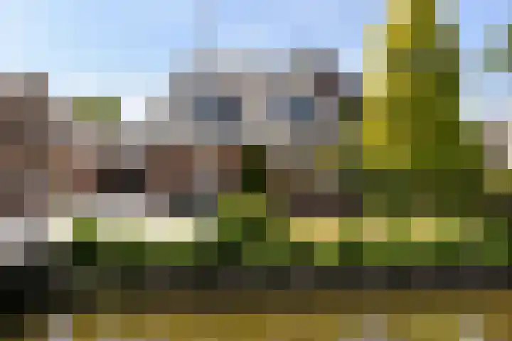 Herenweg 223 Wilnis thumbnail 40