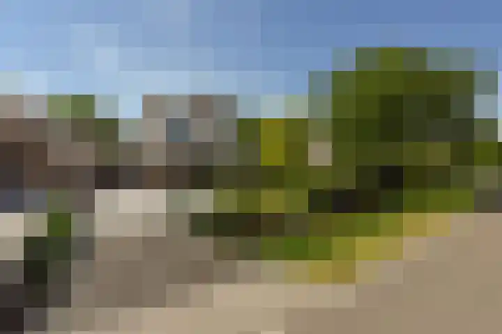 Herenweg 223 Wilnis thumbnail 42