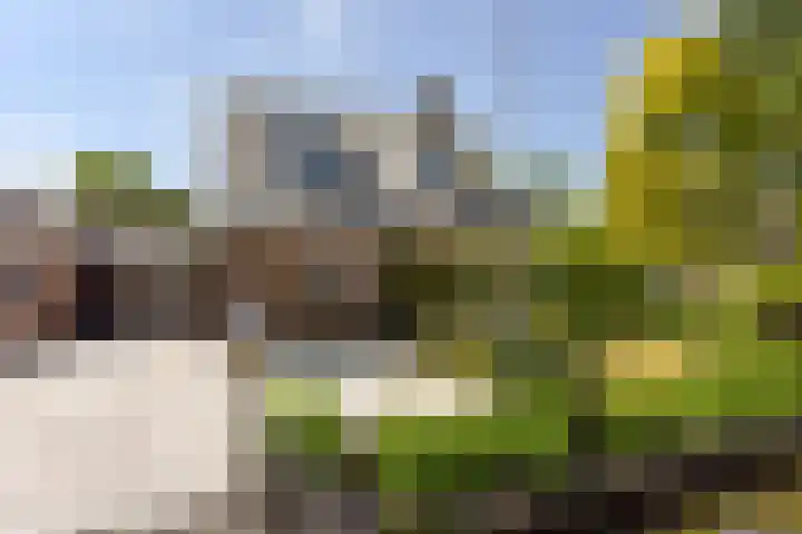 Herenweg 223 Wilnis thumbnail 50
