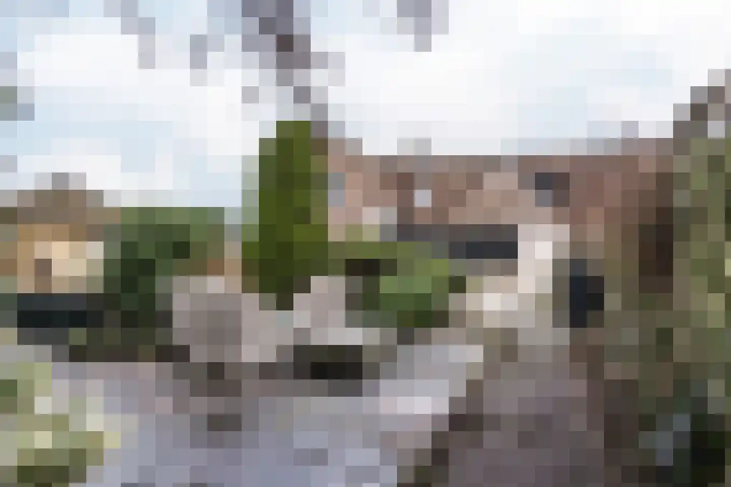 Herenweg 225 Noordwijk thumbnail 21