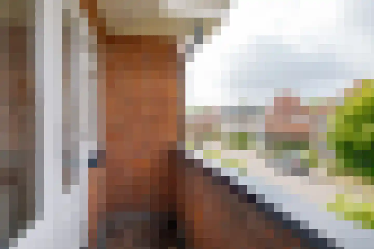 Herenweg 23 Zwolle thumbnail 43