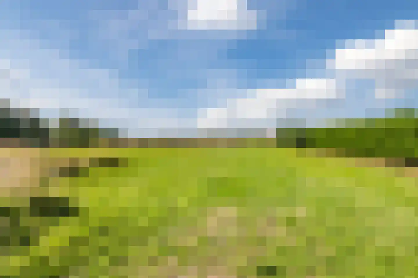 Herenweg 230 A Egmond aan den Hoef thumbnail 47
