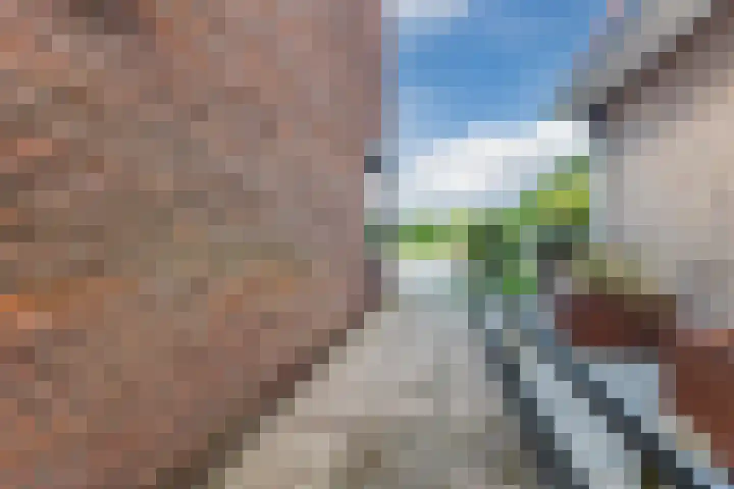 Herenweg 230 A Egmond aan den Hoef thumbnail 5