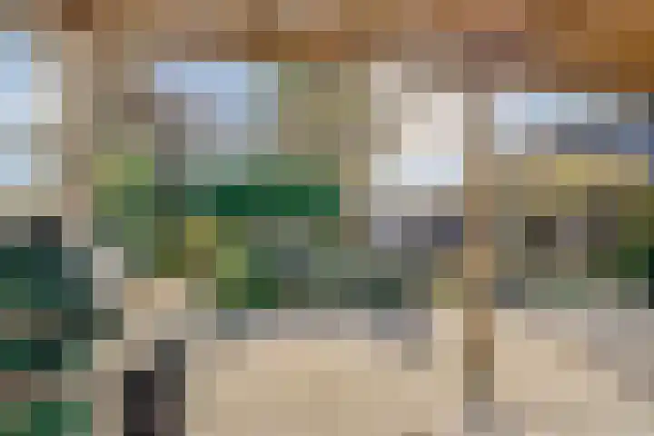 Herenweg 24 Houten thumbnail 16