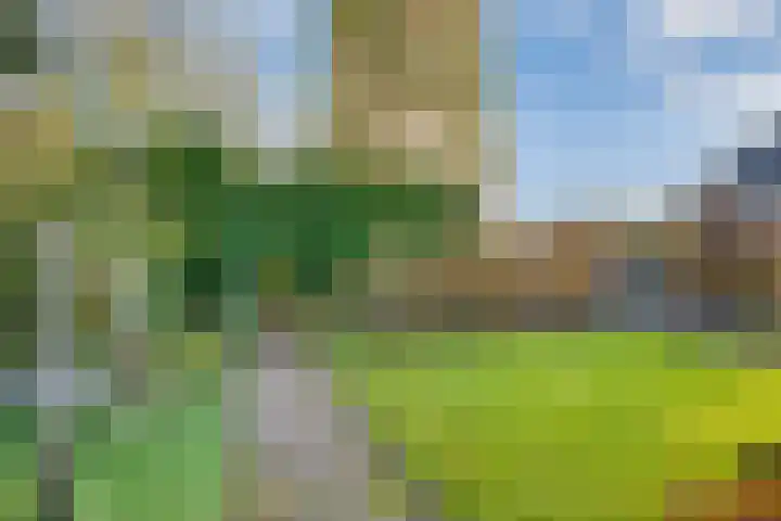 Herenweg 24 Houten thumbnail 18