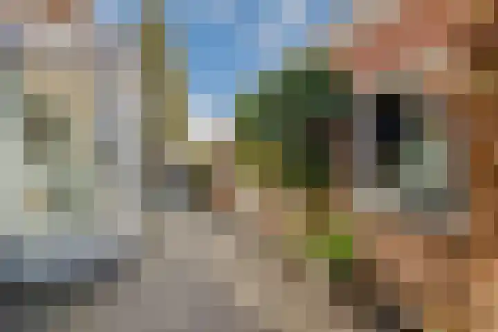Herenweg 24 Houten thumbnail 25