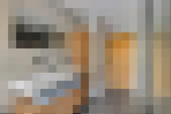 Herenweg 24 Houten thumbnail 33