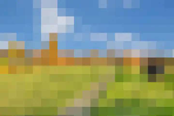 Herenweg 24 Houten thumbnail 54