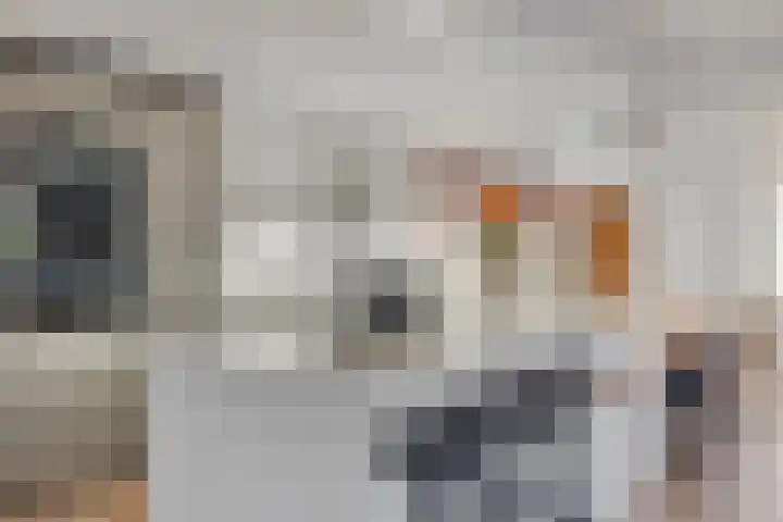 Herenweg 24 Houten thumbnail 9