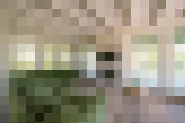 Herenweg 242 R 1 Vinkeveen thumbnail 10