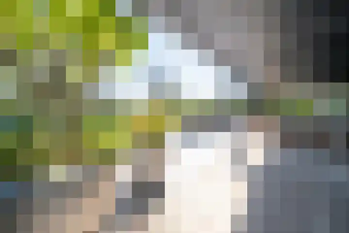 Herenweg 242 R 1 Vinkeveen thumbnail 19