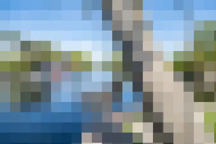 Herenweg 242 R 1 Vinkeveen thumbnail 25