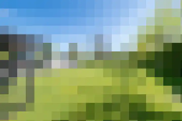 Herenweg 242 R 1 Vinkeveen thumbnail 26