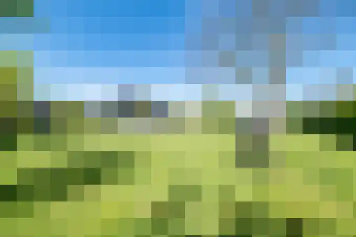 Herenweg 242 R 1 Vinkeveen thumbnail 27