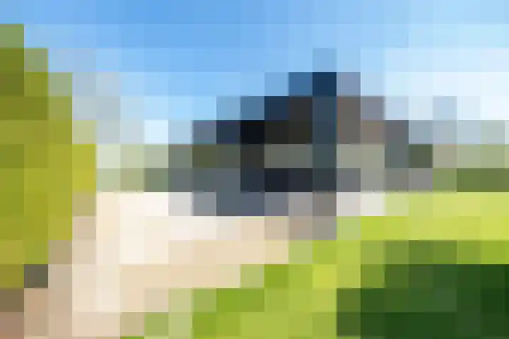 Herenweg 242 R 1 Vinkeveen thumbnail 32