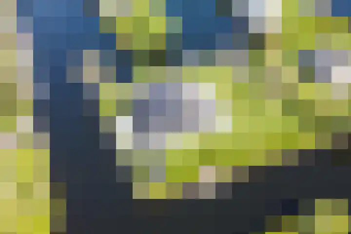 Herenweg 242 R 1 Vinkeveen thumbnail 33