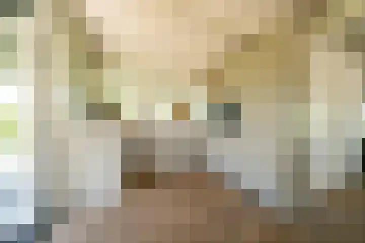 Herenweg 242 R 1 Vinkeveen thumbnail 8