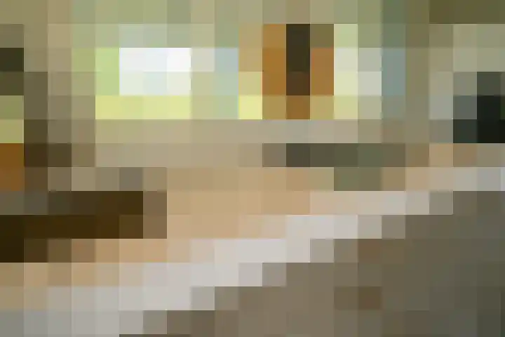 Herenweg 242 R 1 Vinkeveen thumbnail 9