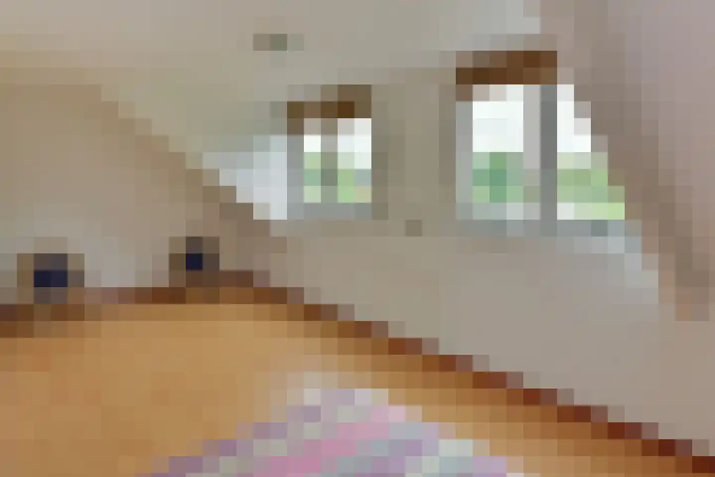 Herenweg 242 R 26 Vinkeveen thumbnail 18
