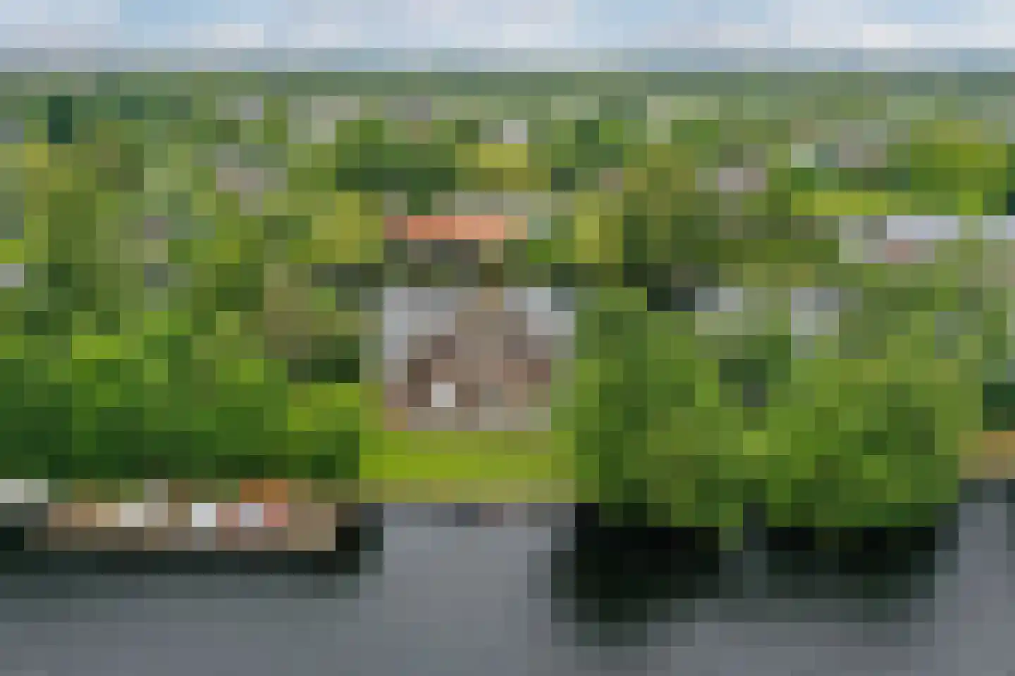 Herenweg 242 R 26 Vinkeveen thumbnail 24