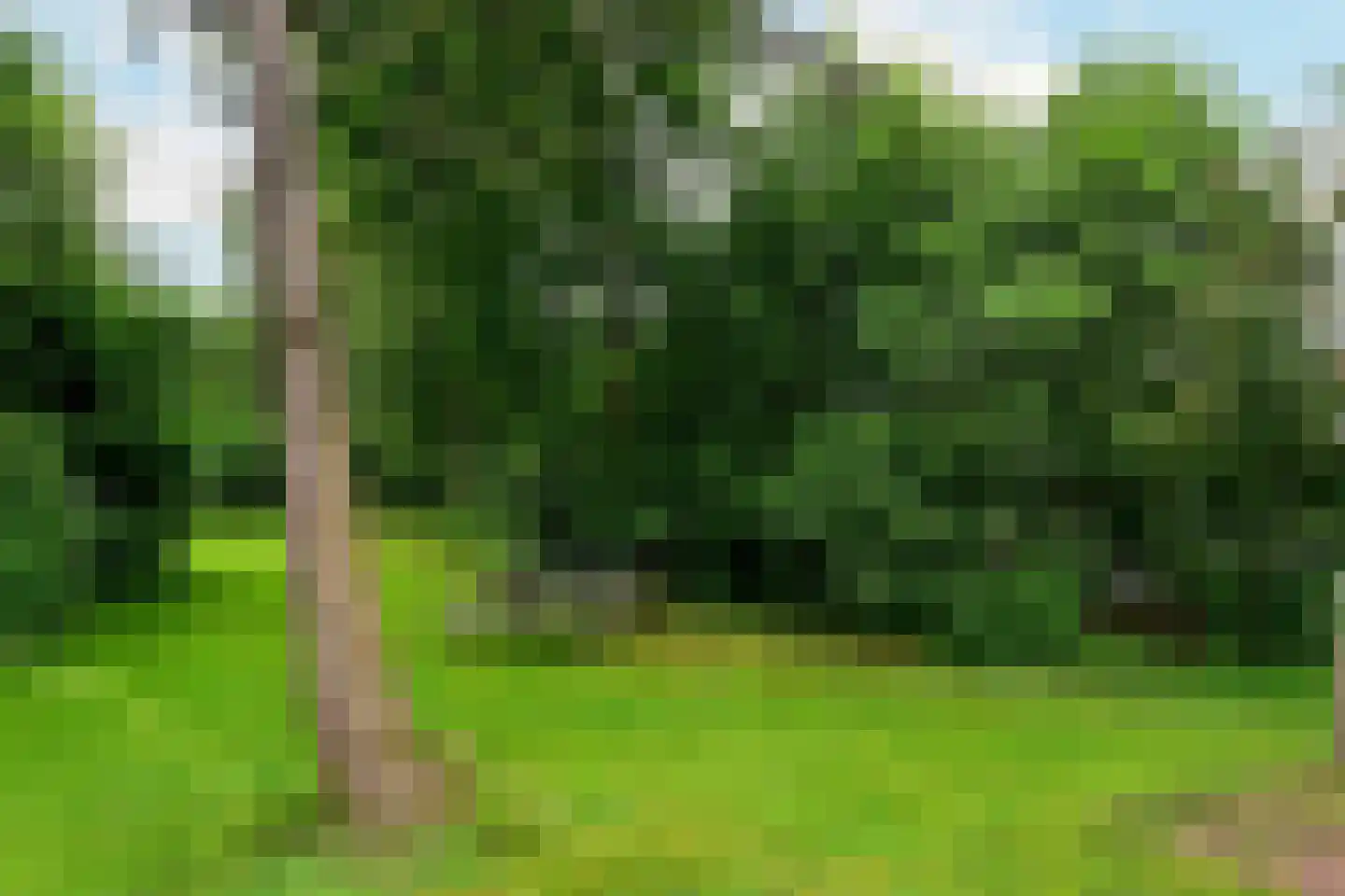 Herenweg 242 R 26 Vinkeveen thumbnail 27