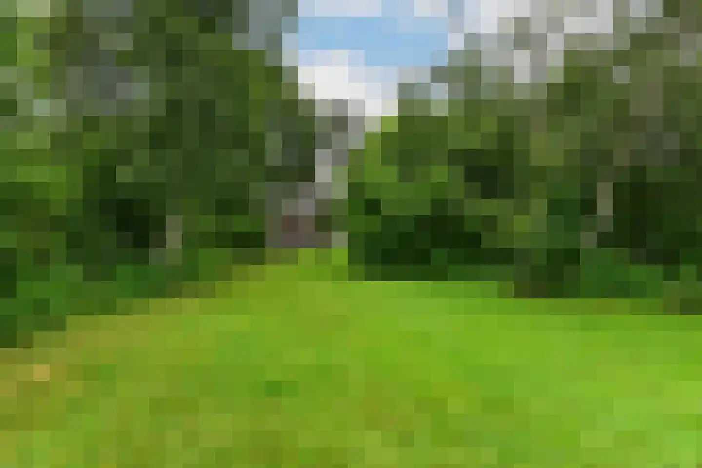 Herenweg 242 R 26 Vinkeveen thumbnail 28