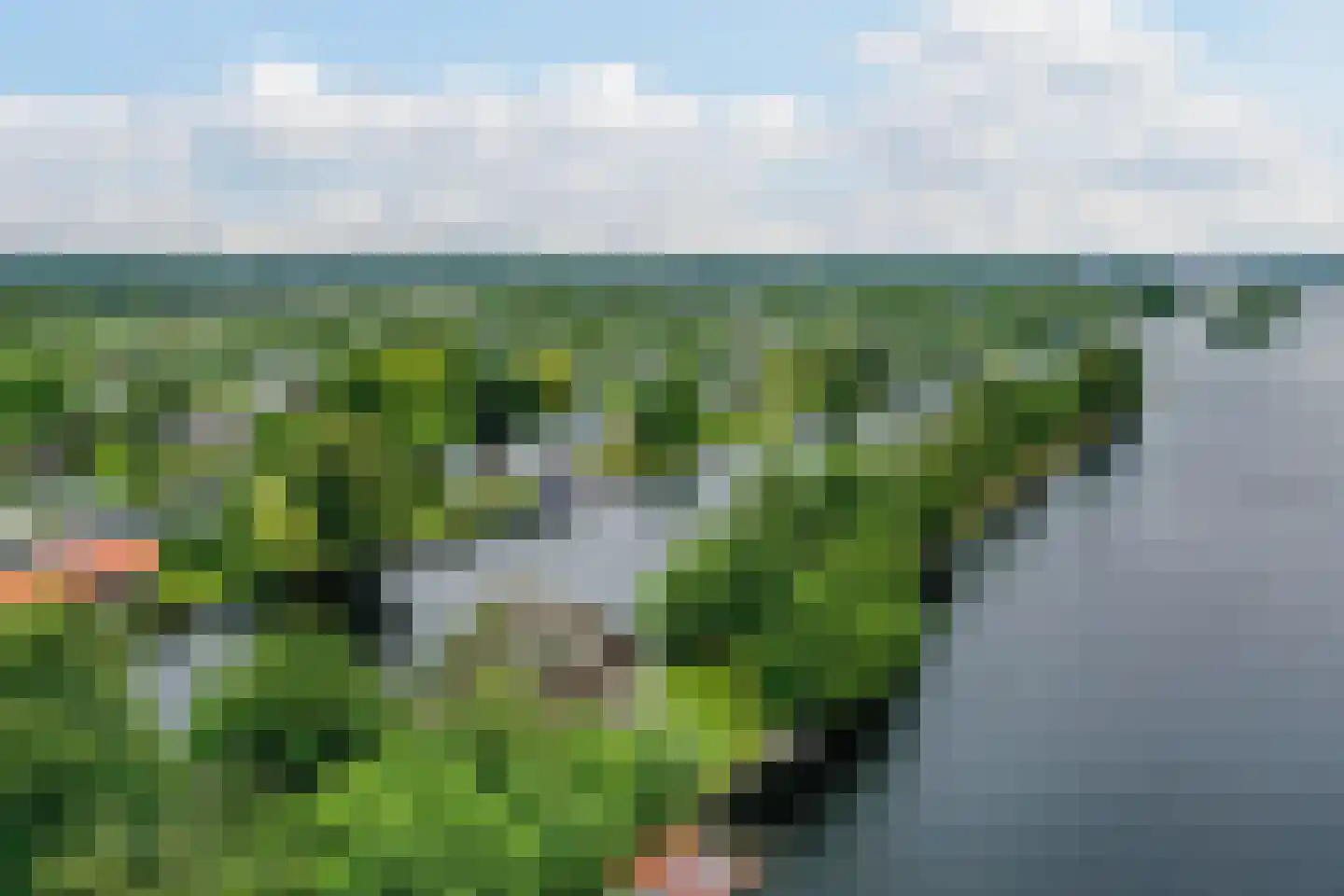 Herenweg 242 R 26 Vinkeveen thumbnail 32