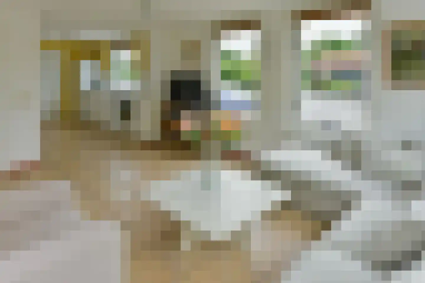 Herenweg 242 R 26 Vinkeveen thumbnail 7