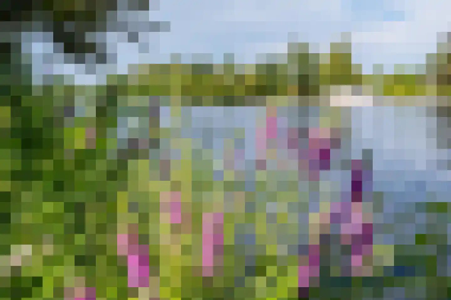 Herenweg 242 R 37 Vinkeveen thumbnail 19