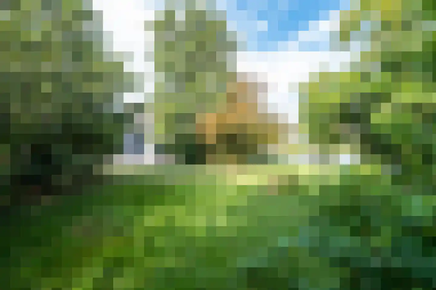 Herenweg 242 R 37 Vinkeveen thumbnail 6