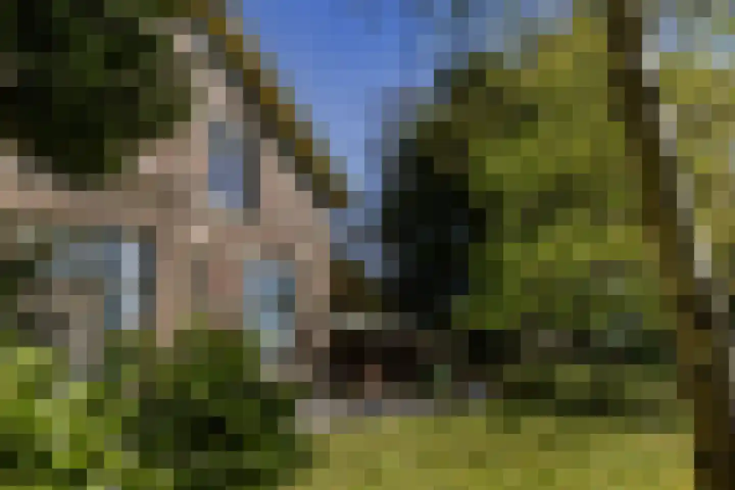 Herenweg 25 Bergen (NH) thumbnail 25