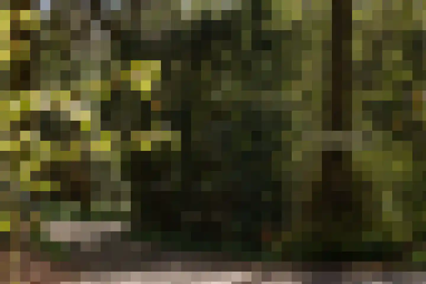 Herenweg 25 Bergen (NH) thumbnail 31