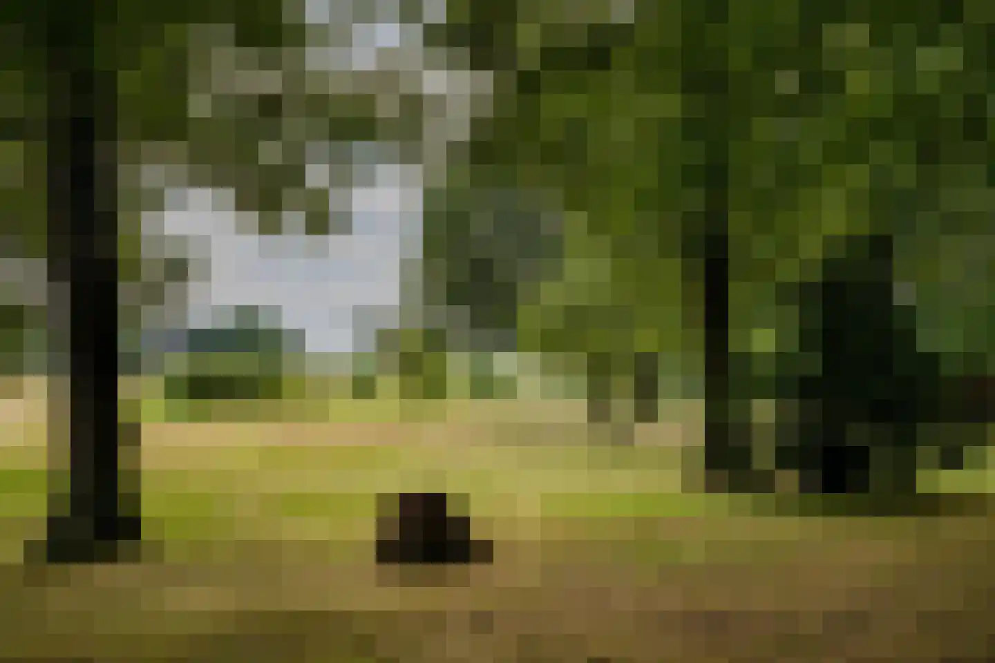 Herenweg 25 Bergen (NH) thumbnail 32