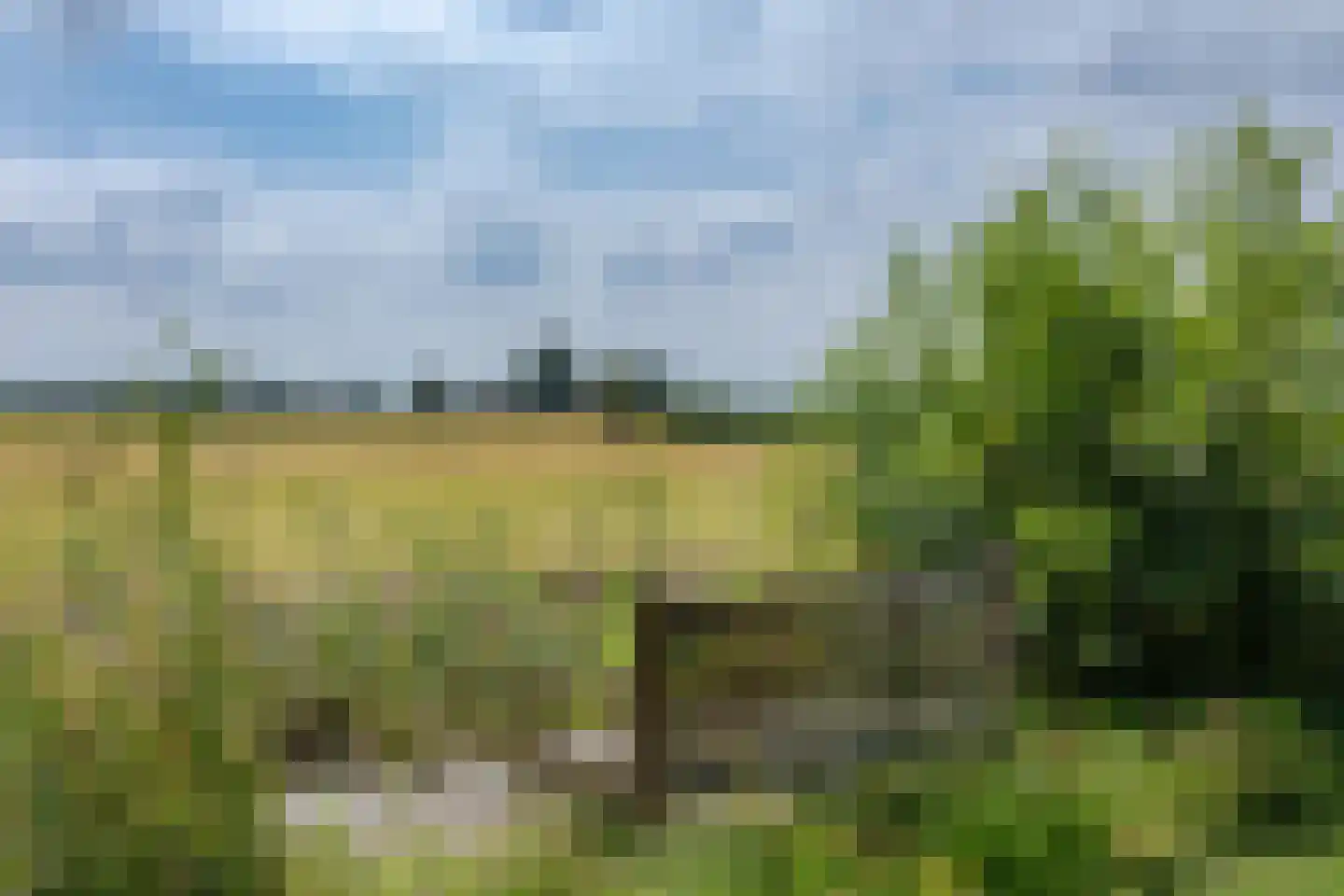 Herenweg 25 Bergen (NH) thumbnail 34