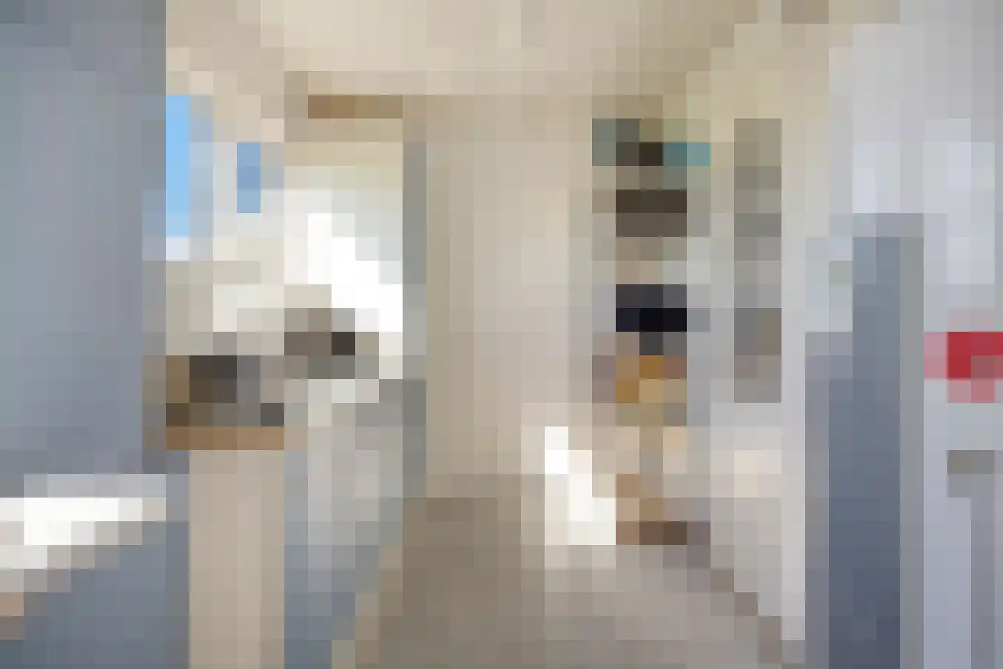 Herenweg 25 Rijnsaterwoude thumbnail 22