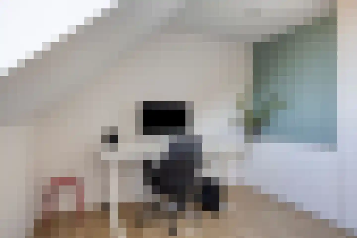 Herenweg 25 Rijnsaterwoude thumbnail 29