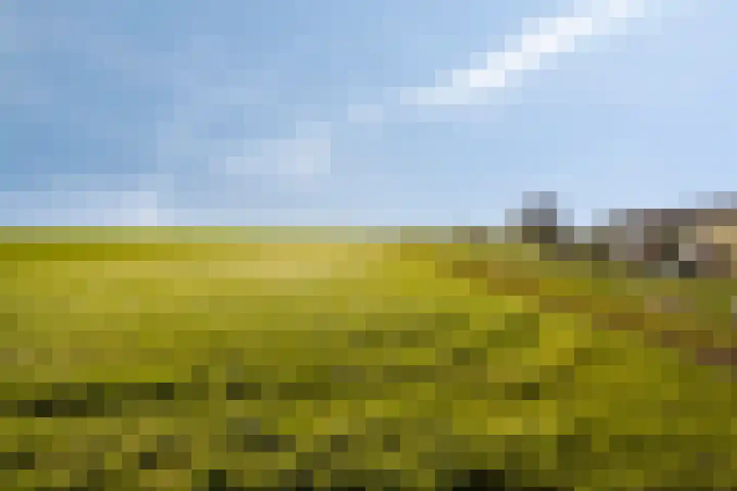 Herenweg 25 Rijnsaterwoude thumbnail 33