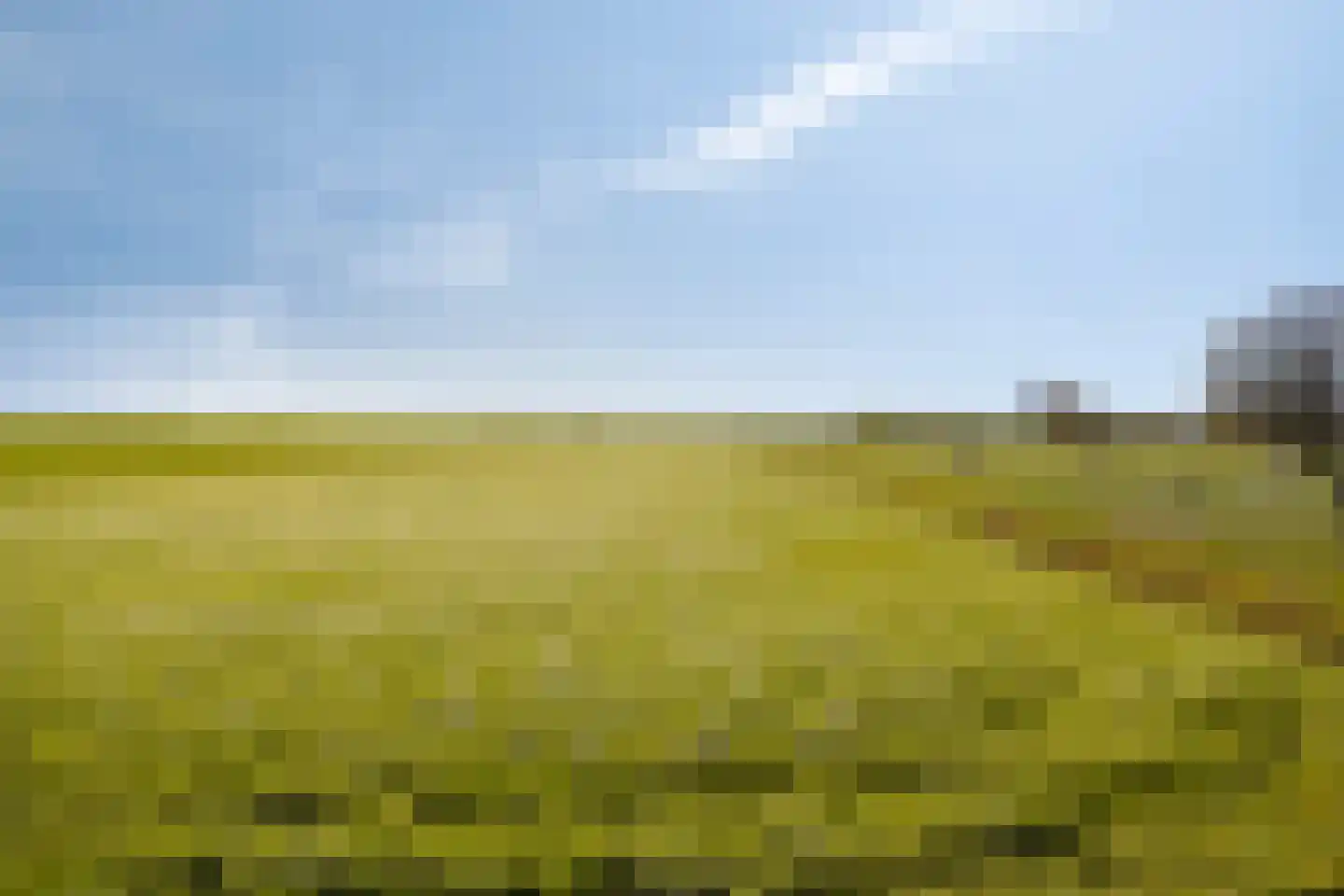 Herenweg 25 Rijnsaterwoude thumbnail 34