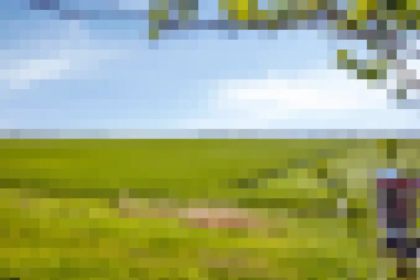 Herenweg 25 Rijnsaterwoude thumbnail 35