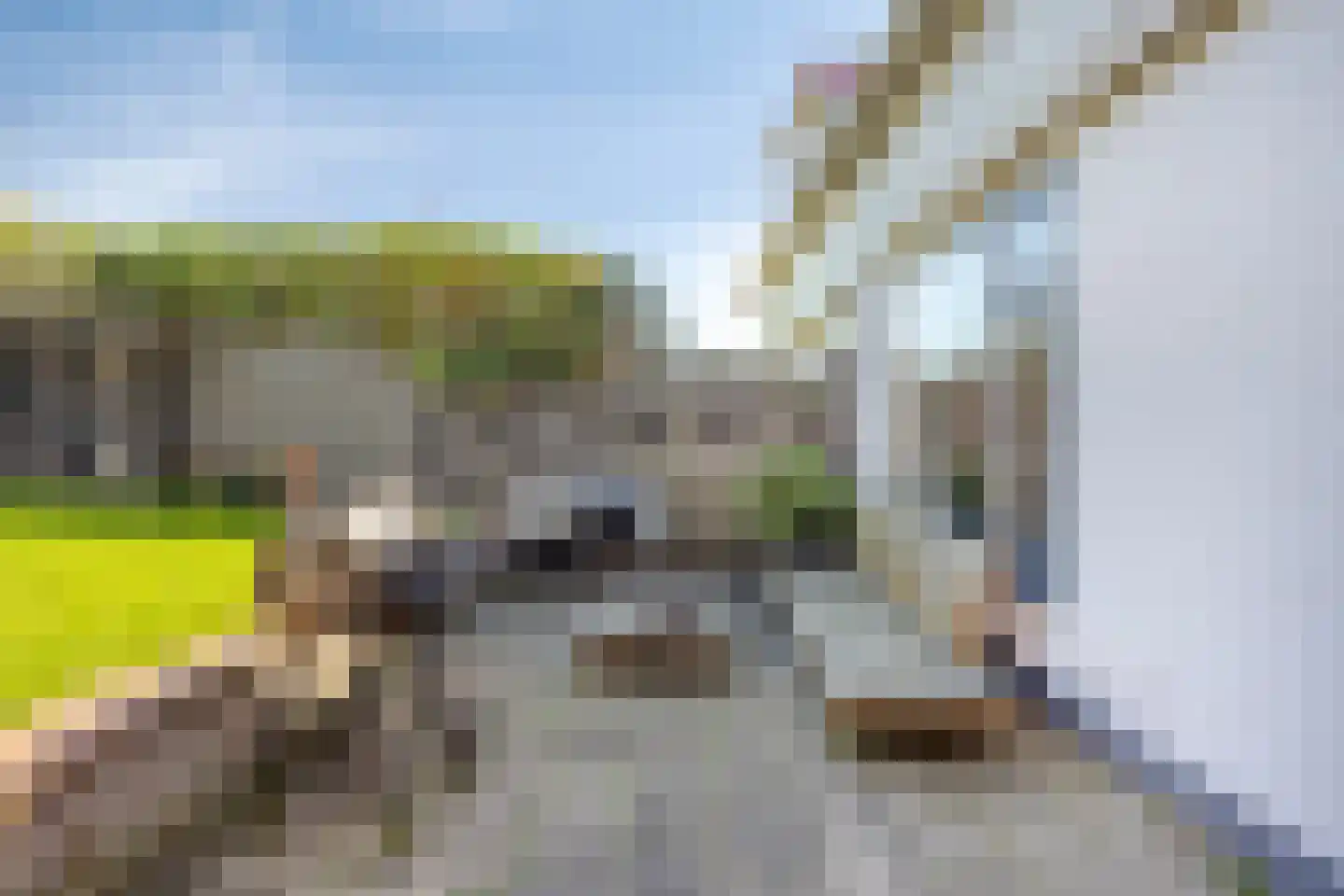Herenweg 25 Rijnsaterwoude thumbnail 6